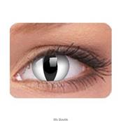 PAIRE DE LENTILLES ANNUELLES SNAKE EYE