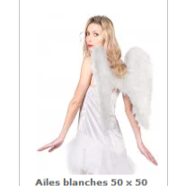AILES D'ANGE BLANCHES 50CMX50CM