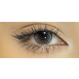   LENTILLES ELF HAZEL, lentilles de couleur marron noisette ref.FA56-1