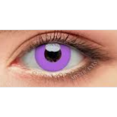 LENTILLES VIOLET CLAIRE , Grey violet block ref.D13