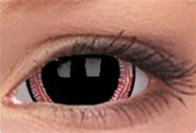 PAIRE DE LENTILLES RAVENOUS 17MM