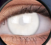 LENTILLES ANNUELLES BLIND WHITE (aveugles) , lentilles blanches couvrant la pupille