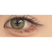 LENTILLES VIBE GREEN, lentilles vert-marron ref.FA84-2