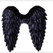 AILES NOIRES , ailes noires d'halloween , cosplay ailes noires 