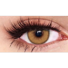 PAIRE DE LENTILLES ANNUELLES SORAYAMA BROWN, lentilles marron claire ref:ME63