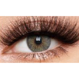 LENTILLES CLEOPATRA GREY, de couleur vert sur gris, ref.Mi22-5
