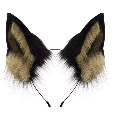 GRANDES OREILLES DE LOUP