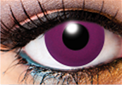 LENTILLES VIOLETTES solid purple , lentilles violets